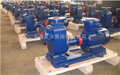 ZX系列自吸泵-上海昊洋泵业老品牌金品质